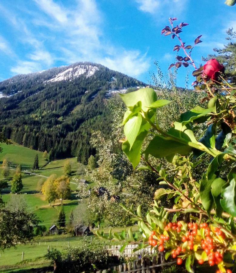 Pension Stammerhof Schladming Extérieur photo