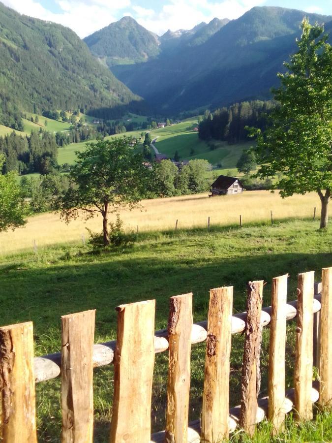 Pension Stammerhof Schladming Extérieur photo