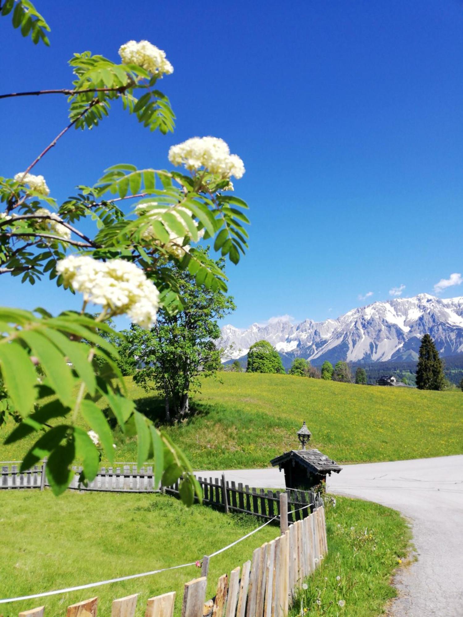 Pension Stammerhof Schladming Extérieur photo